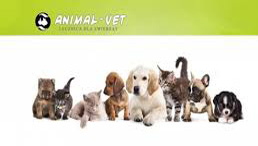 Schronisko dla bezdomnych zwierząt